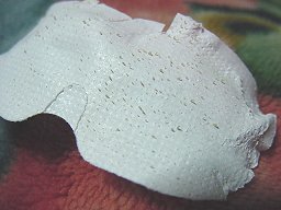 3/24���@�p�b�N