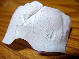 4/11���@�p�b�N