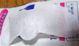 8/29���@�p�b�N