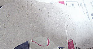 9/13���@�p�b�N