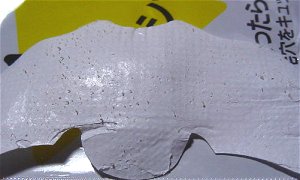 10/4���@�p�b�N