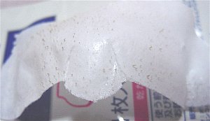 10/18���@�p�b�N