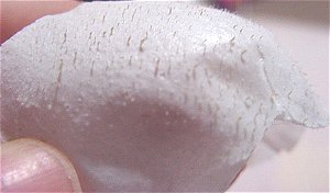 10/18���@�p�b�N