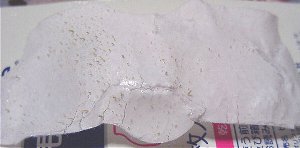 3/27���@�p�b�N