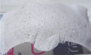 4/15���@�p�b�N