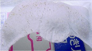 5/15���@�p�b�N