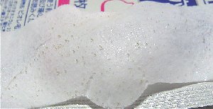 7/3���@�p�b�N