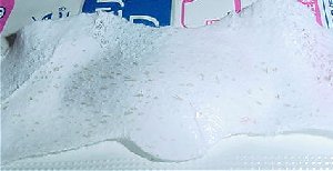 8/24���@�p�b�N