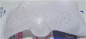 9/26���@�p�b�N