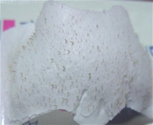 12/10���@�p�b�N