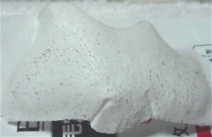 3/19���@�p�b�N