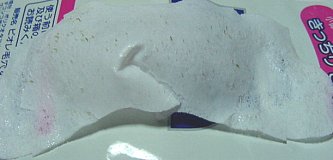 8/15���@�p�b�N