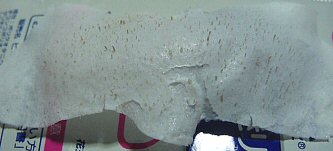 12/1���@�p�b�N