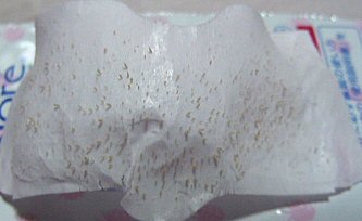 2/4���@�p�b�N