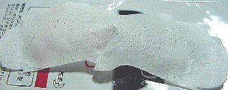 6/23���@�p�b�N