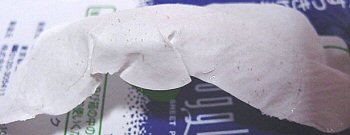 5/25���@�p�b�N