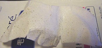 1/18���@�p�b�N