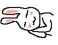 ぐおぉぉぉぉぉぉぉぉ・・・